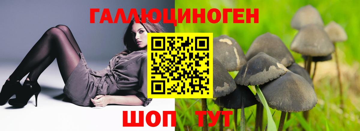 Псилоцибиновые грибы мухоморы  Галлюциногенные грибы прущие грибы  Саратов  Вход с VPN 